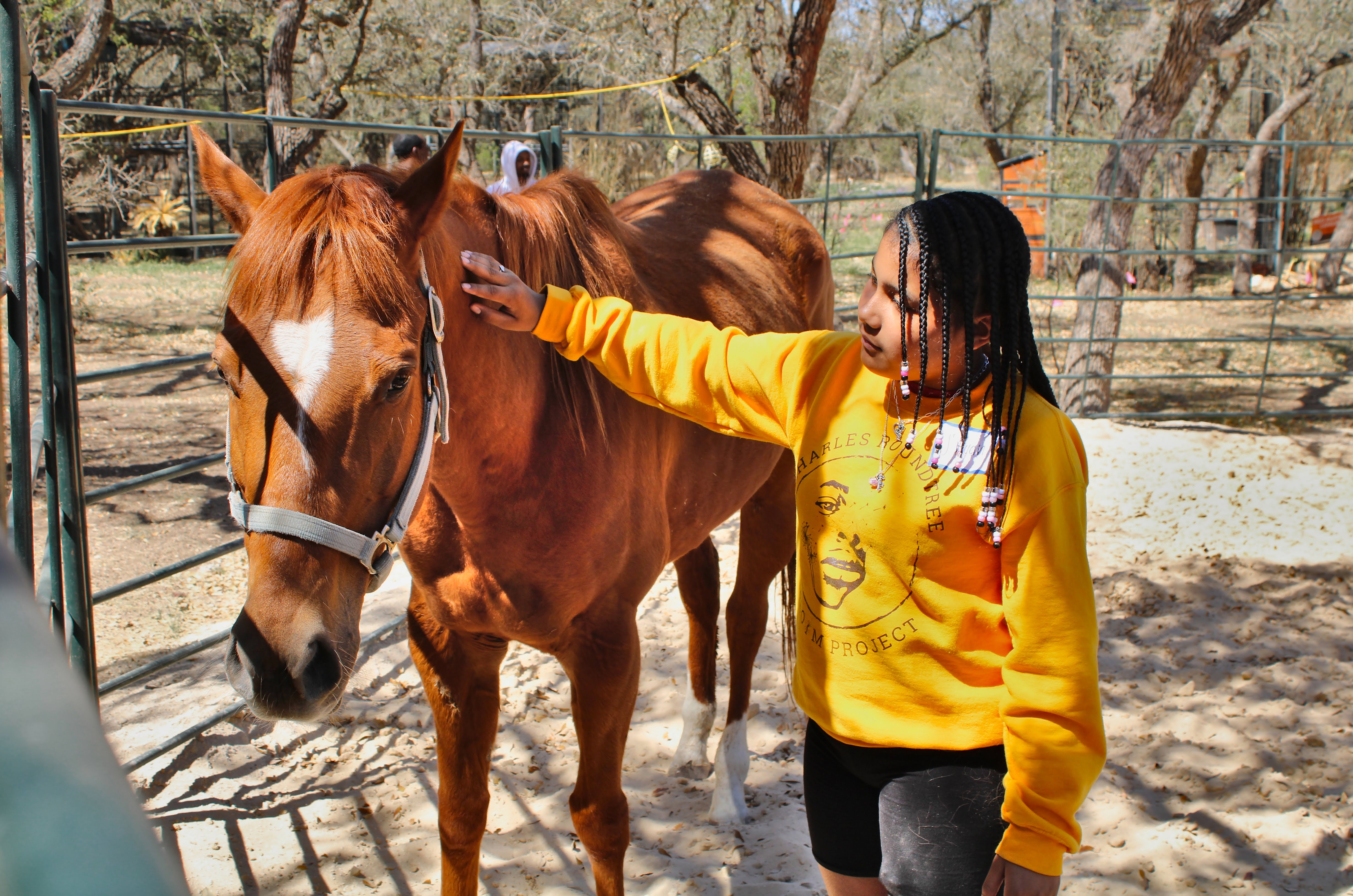A young person pets a horse in an outdoor pen